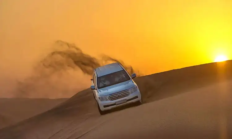 Evening Desert Safari in Abu Dhabi: Booking & Timing Essentials