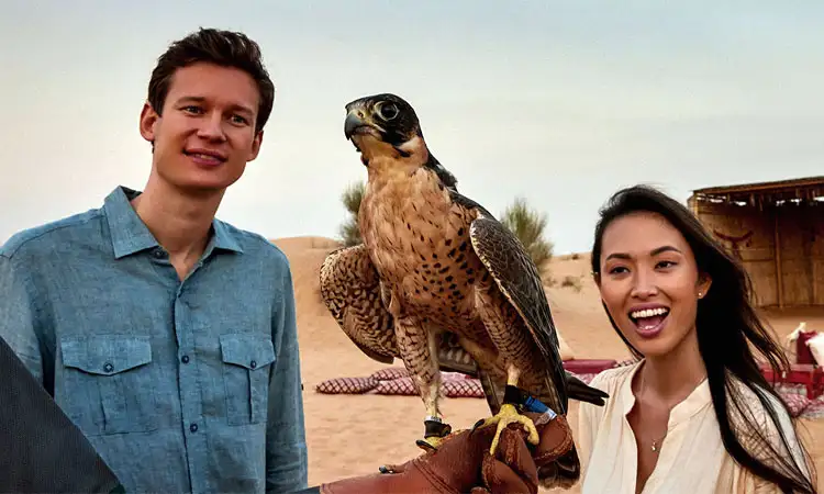 The Role of Falconry in Desert Safaris