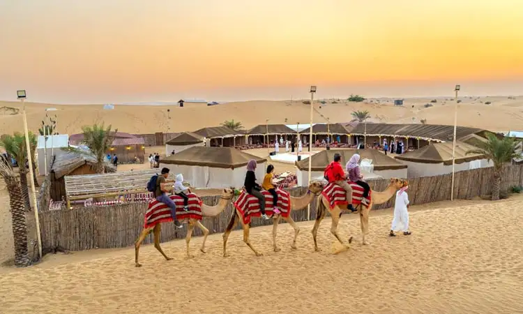 How to Find the Best Abu Dhabi Desert Safari