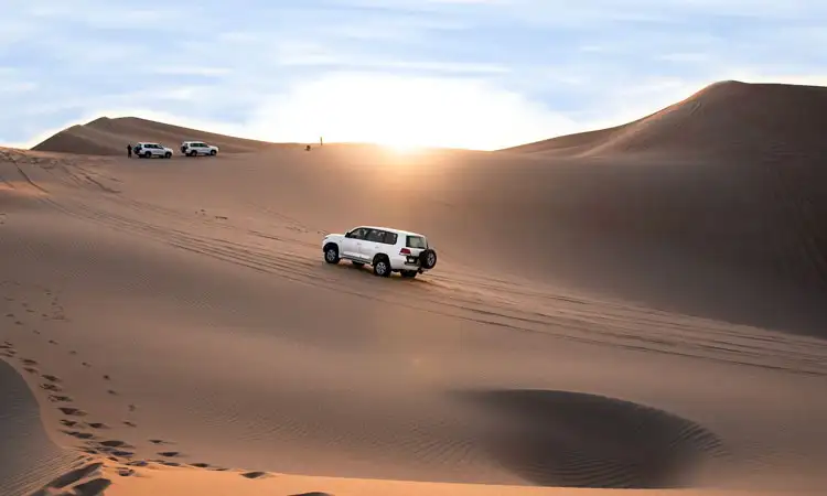 What to Expect on a Morning Desert Safari in Abu Dhabi