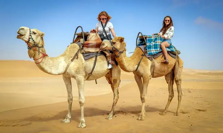 How to Ride a Camel in the Desert?