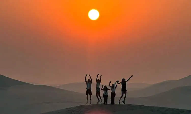 Different Types of Desert Safaris in Abu Dhabi