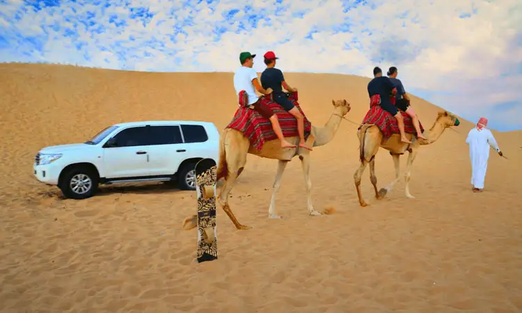 Different Types of Desert Safaris in Abu Dhabi