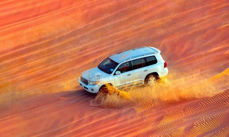 Private Morning Desert Safari Abu Dhabi