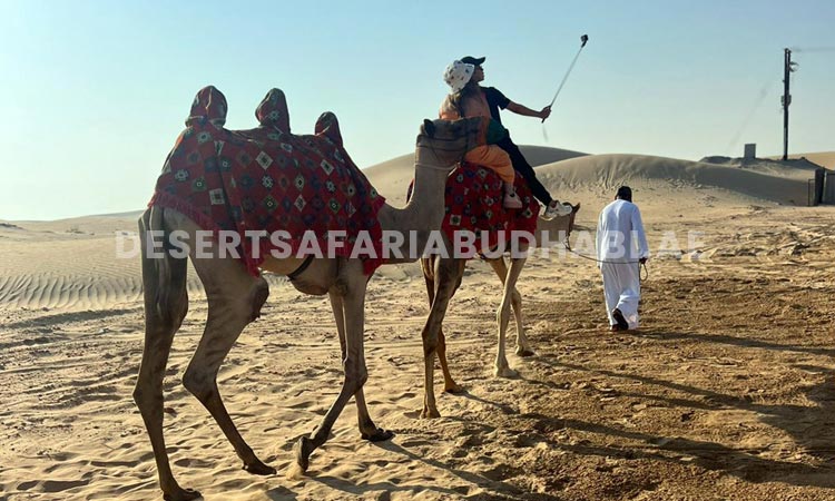 Private Morning Desert Safari Abu Dhabi