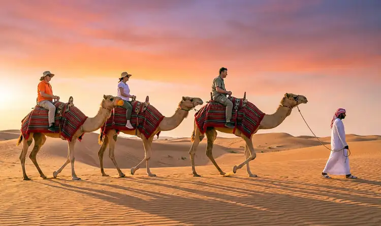 3 tourist riding 3 camels with a guide in Abu Dhabi desert