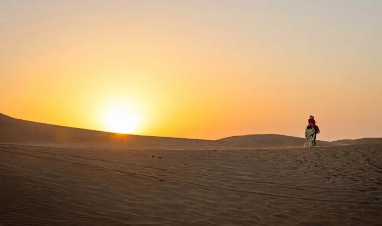 Person riding a camel silhouetted against the bright morning sun in the Abu Dhabi desert dunes.
